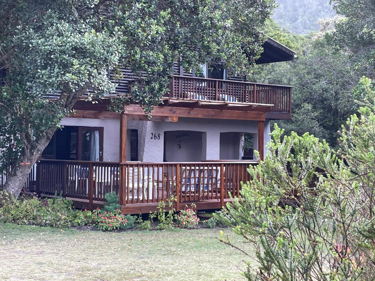 Forest Drive Holiday Home Natureʼs Valley المظهر الخارجي الصورة